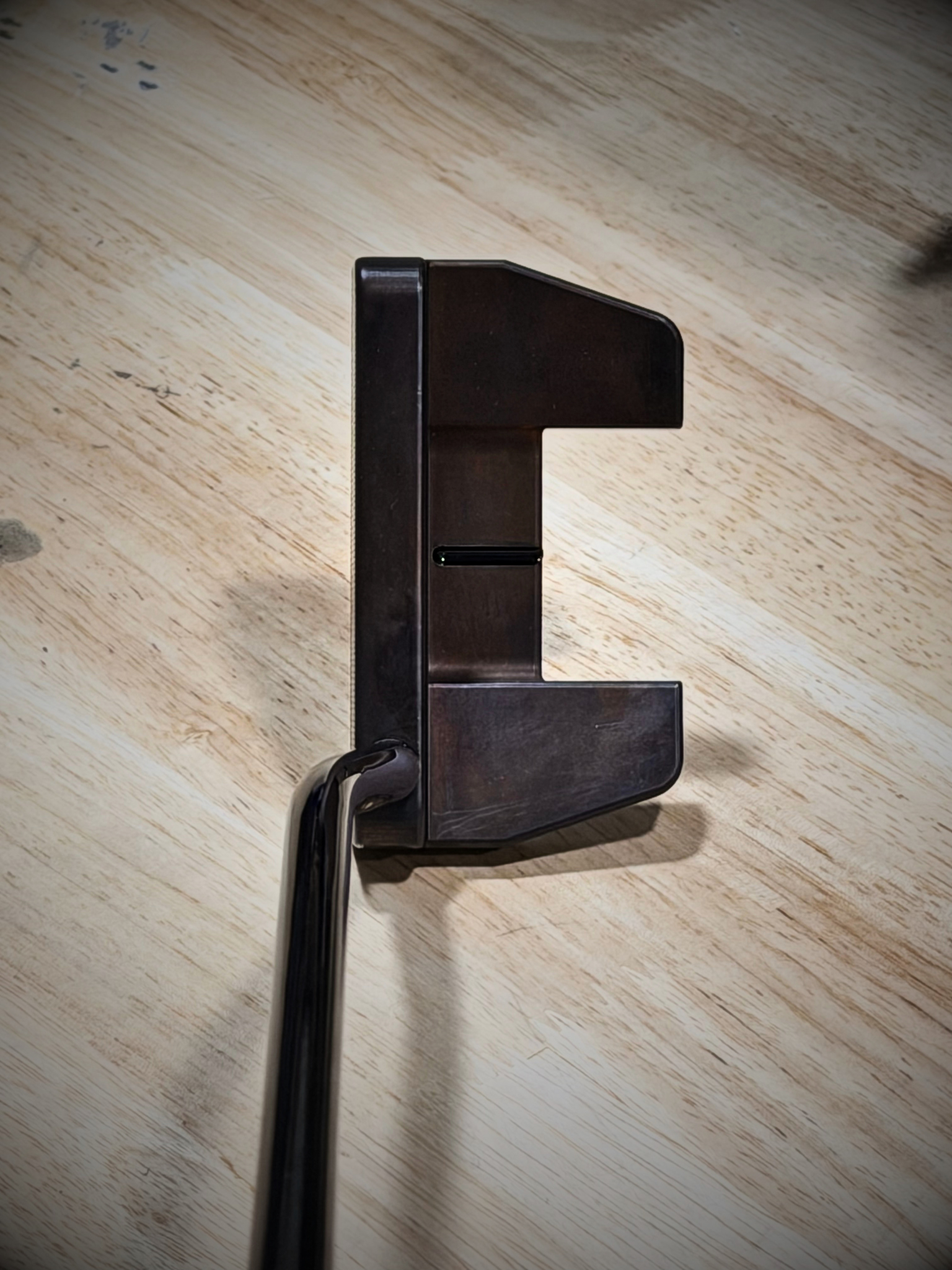 Buried Treasure | Salt Lake | Milled Putter